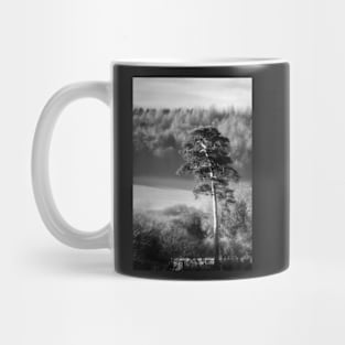 Scots Pine Tree Mug